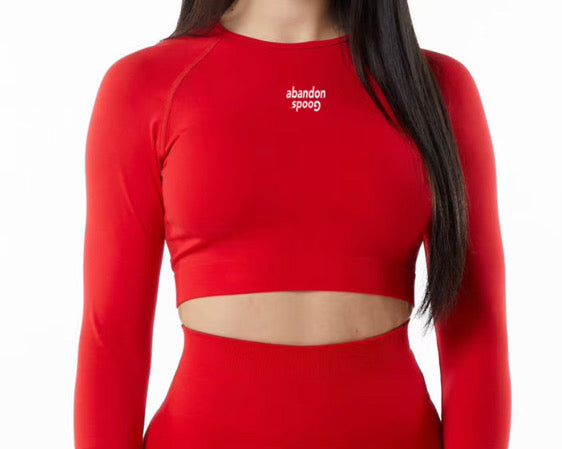 Athletic Set (leggings & shirt)